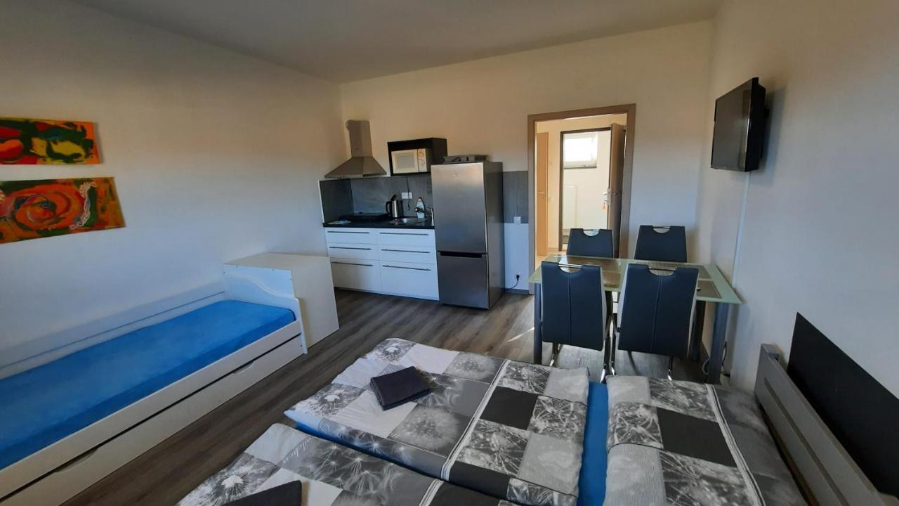Penzion U Vody Plzen Bagian luar foto